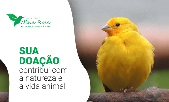 Doação para o Instituto Nina Rosa (INR)